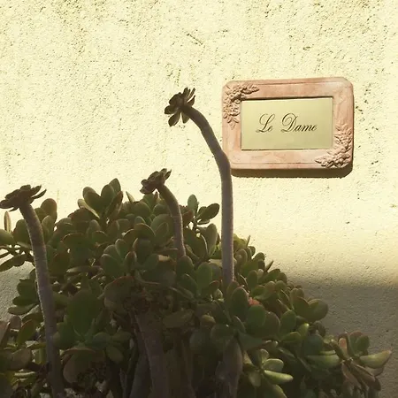 Le Dame-addormentarsi Con Un Libro شقة